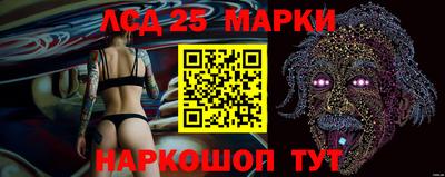 apvp Коммунар