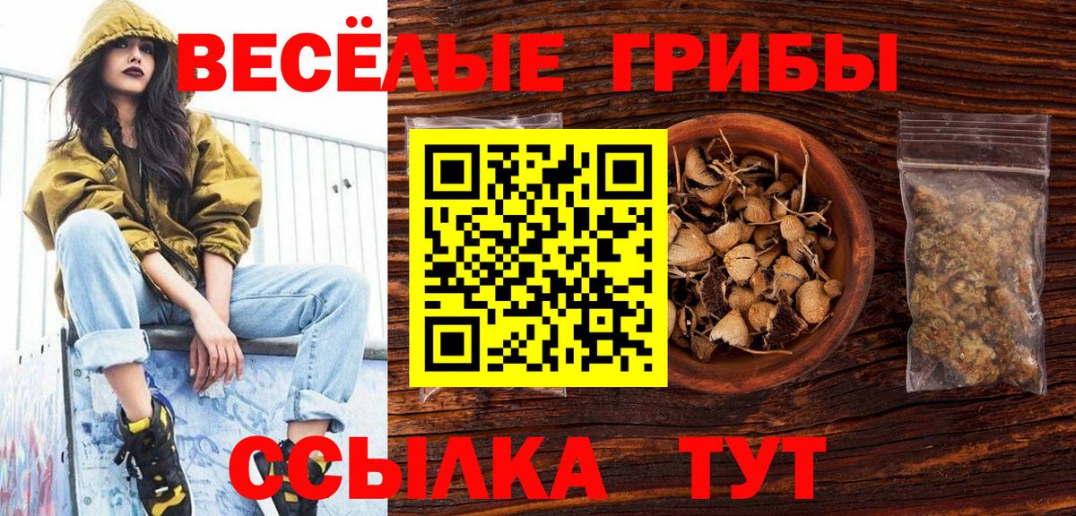 Галлюциногенные грибы Magic Shrooms  Вход с VPN  где купить наркотик  Красный Сулин 