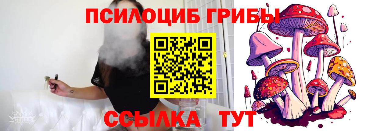 Галлюциногенные грибы Psilocybine cubensis Красный Сулин