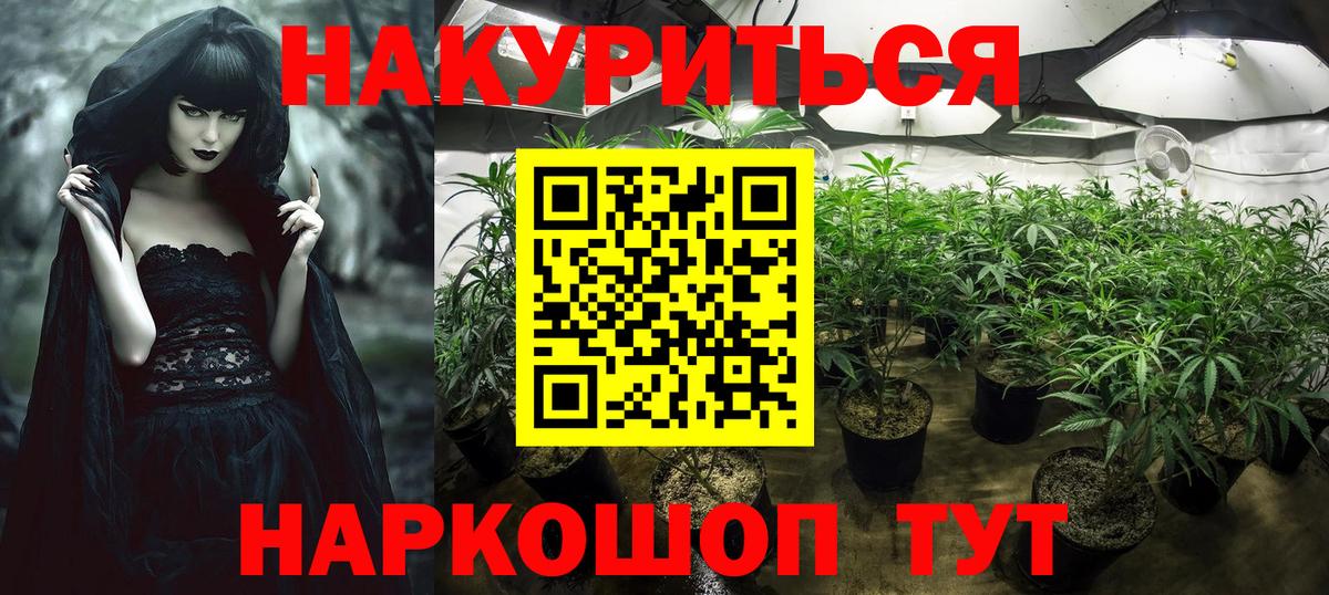 Бошки Шишки SATIVA & INDICA Красный Сулин